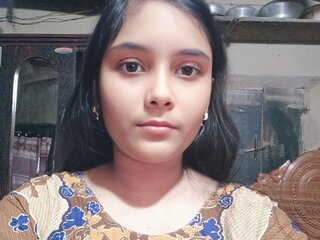 AniBd real